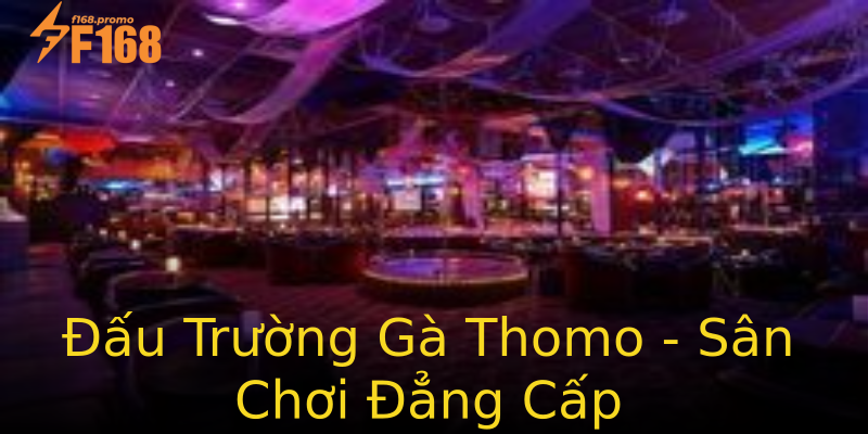 Đấu Trường Gà Thomo - Sân Chơi Đẳng Cấp Đấu Trường Gà Thomo - Sân Chơi Đẳng Cấp