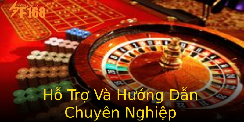 Hỗ Trợ Và Hướng Dẫn Chuyên Nghiệp Hỗ Trợ Và Hướng Dẫn Chuyên Nghiệp