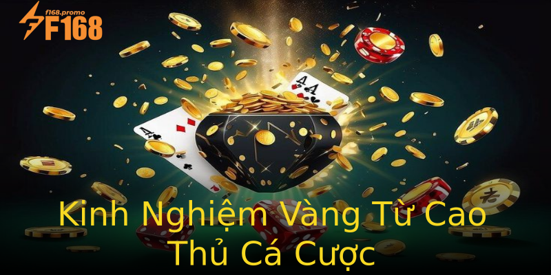 Kinh Nghiệm Vàng Từ Cao Thủ Cá Cược Kinh Nghiệm Vàng Từ Cao Thủ Cá Cược
