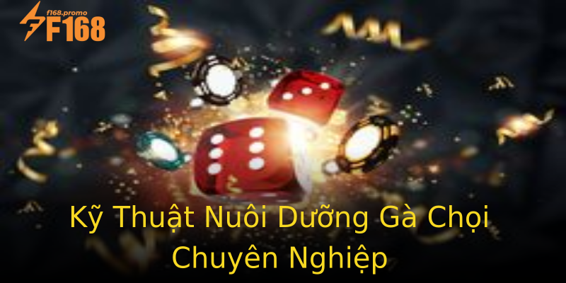 Kỹ Thuật Nuôi Dưỡng Gà Chọi Chuyên Nghiệp Kỹ Thuật Nuôi Dưỡng Gà Chọi Chuyên Nghiệp