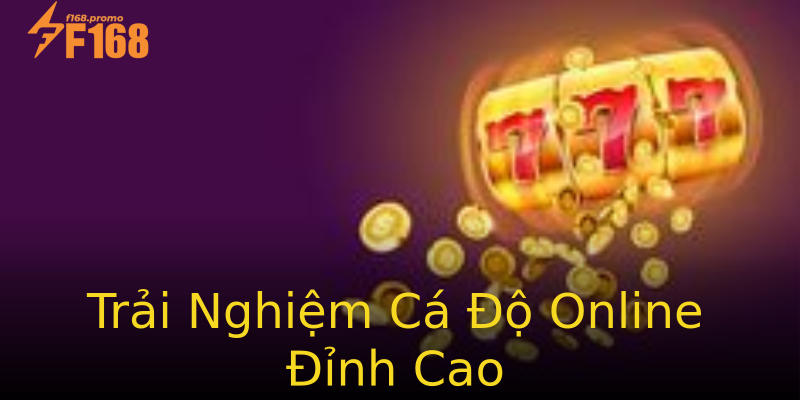 Trải Nghiệm Cá Độ Online Đỉnh Cao Trải Nghiệm Cá Độ Online Đỉnh Cao