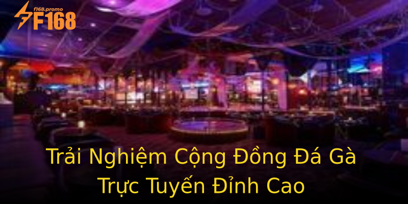 Trải Nghiệm Cộng Đồng Đá Gà Trực Tuyến Đỉnh Cao Trải Nghiệm Cộng Đồng Đá Gà Trực Tuyến Đỉnh Cao